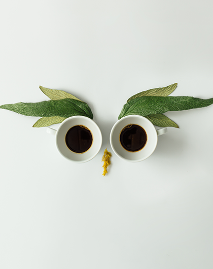 looking down at two cups of coffee, side by side, like owl eye, with leaves like eyebrows above