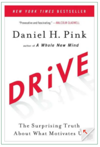 Book cover image of Drive The Surprising Truth About What Motivates Us.